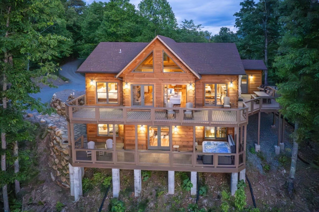 Wild Orchid Wild Orchid